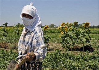 Kyrgyzstan: Anatomy of a Conflict