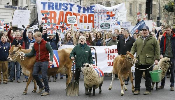 Brussels Has a Lot to Learn From Brexit Vote