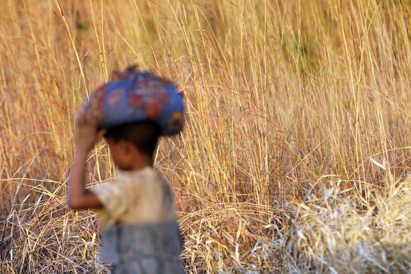 Africa's Future? There's a Case for Optimism