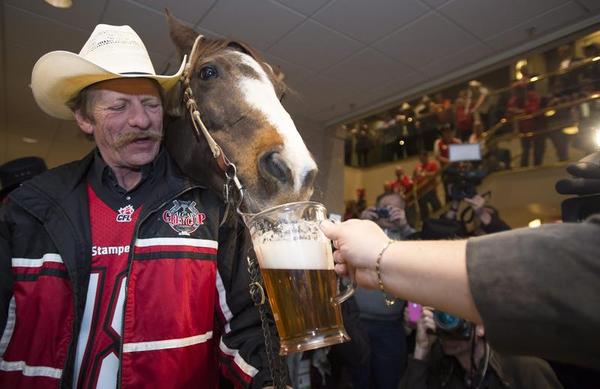 The Breweries vs. Alberta