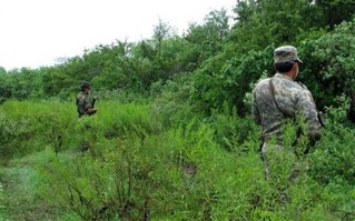 U.S. Fails to Help Mexico Win Drug War