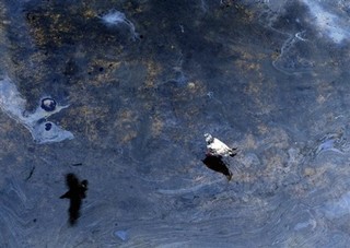 China's Own Oil Spill Disaster