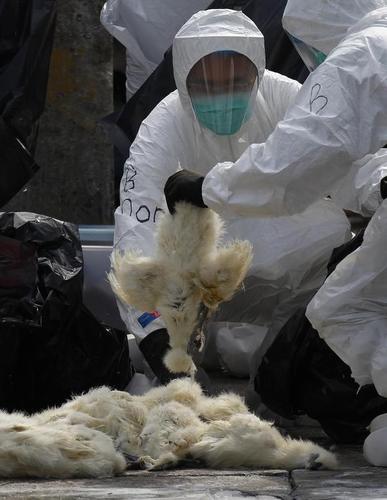 How China Can Stop a Pandemic