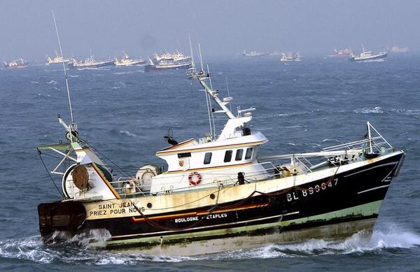 Brexit and the Fate of North Sea Fish