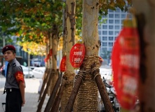 China's Rights Progress Not Enough