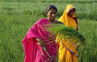 India & China: Models of Growth