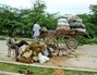 U.S. Fears Collapse of Somali Government