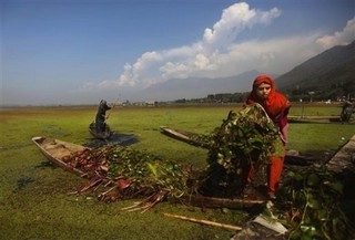 India Should Give Kashmir to Pakistan