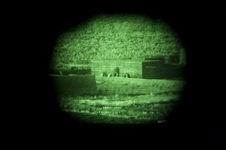 The Mighty Taliban Keep Coming Back to Life