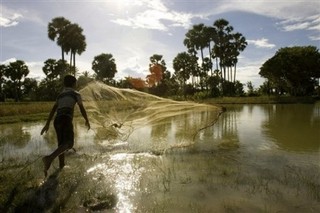 Preventing a Global Food Crisis