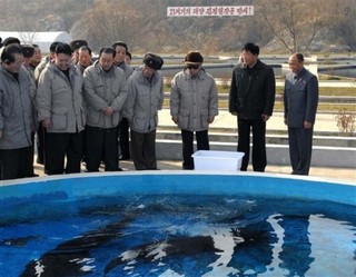 The Origins of Asia's Maritime Tensions