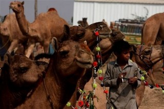 Karachi: Global Hub of Jihadism