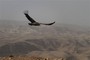 Water as a Strategic Resource in the Middle East