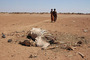 Drought Causes Famine in Ethiopia