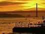 Portugal's Drug Policy Pays Off; US Eyes Lessons