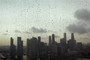 Why the World Needs a Risk Response Network