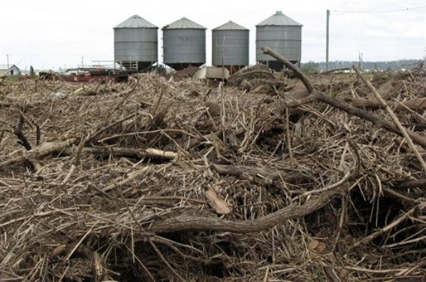 First Floods, Then a Food Crisis