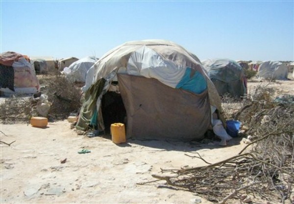Al-Qaeda's Emerging African Enterprise