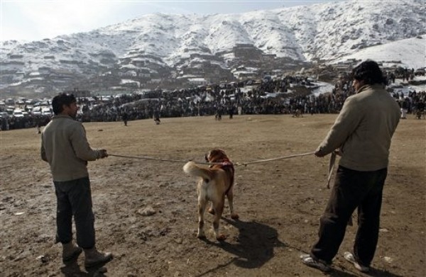 Afghanistan's Next Tourist Trap