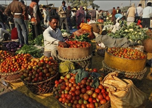 G-20 Can End Global Food Crisis