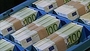 Ireland To Reveal New Bailout Cost