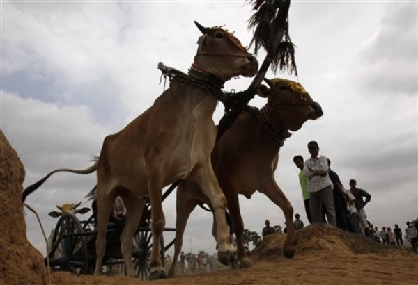 Cambodia's Passive Genocide