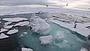 Arctic Moves Up U.S. Agenda