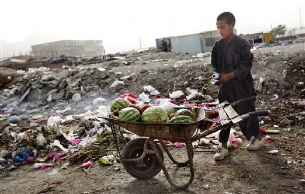 Can We Feed the World Without Destroying the Planet?