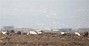 Syrian Refugees Escape To Wadi Khaled