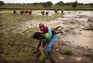 India's Half-Finished Revolution