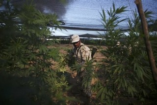 Unraveling Mexico's Sinaloa Drug Cartel