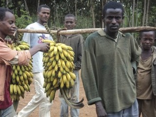 Why Africa Is Leaving Europe Behind