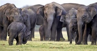 China-Sri Lanka Ties Worry India